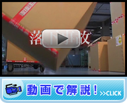 動画で解説！