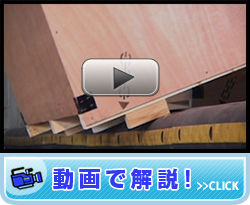 動画で解説！